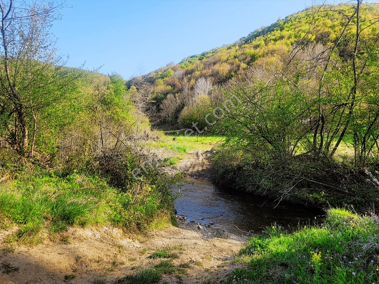 Harika Konumda, Dümdüz, Fırsat Arazi, Doğanın İçinde - Görsel 3
