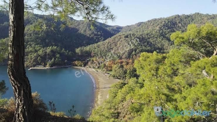 Fethiye Kargı Mahallesinde Satılık 3.300 M2 Arazi - Görsel 3