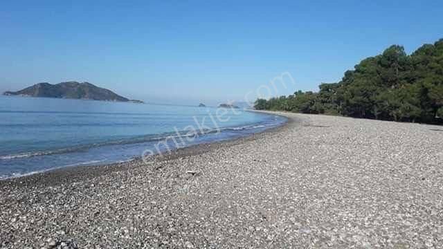 Fethiye Kargı Mahallesinde Satılık 3.300 M2 Arazi - Görsel 8