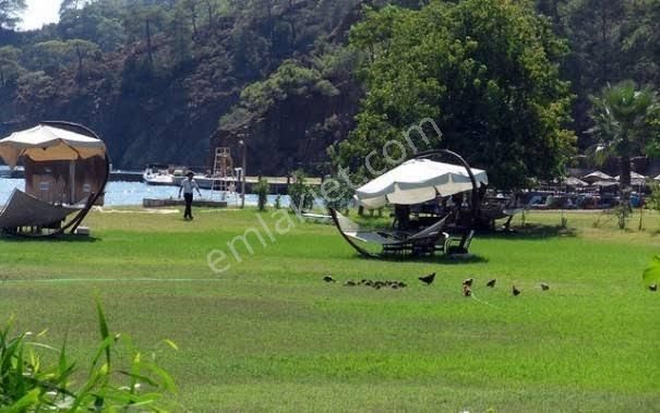 Fethiye Kargı Mahallesinde Satılık 3.300 M2 Arazi - Görsel 2