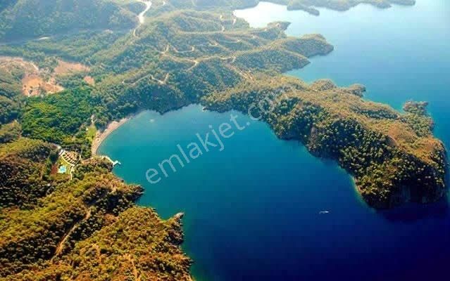 Fethiye Kargı Mahallesinde Satılık 3.300 M2 Arazi - Görsel 6