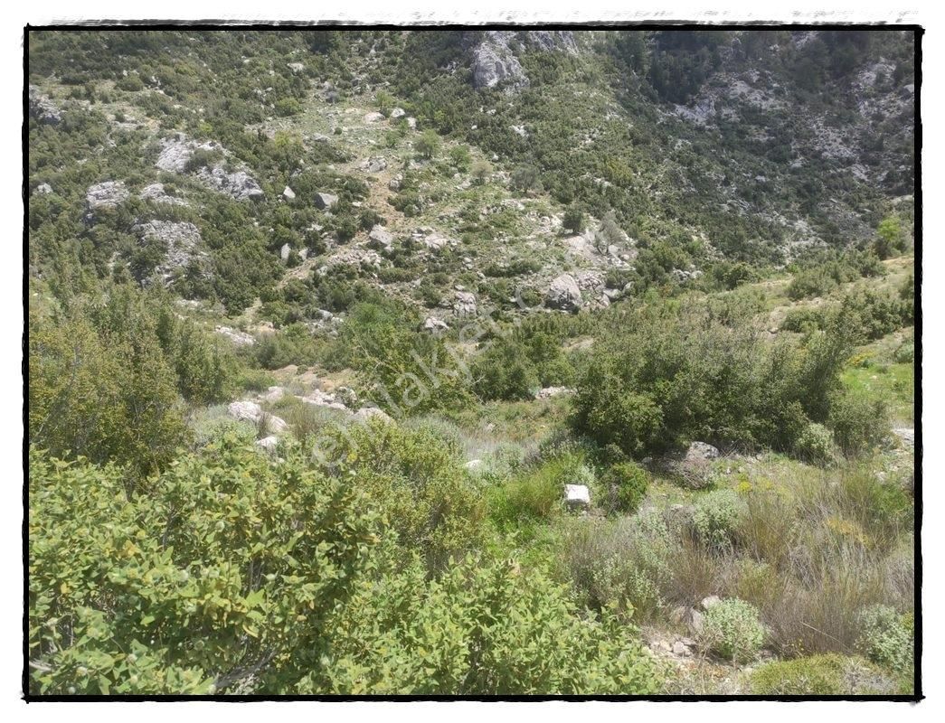 Fethiye Karaağaçta Satılık 979m2 Arsa - Görsel 8