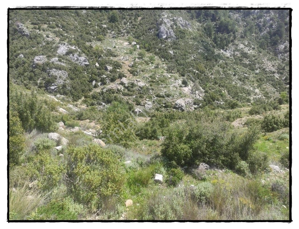 Fethiye Karaağaçta Satılık 979m2 Arsa - Görsel 4