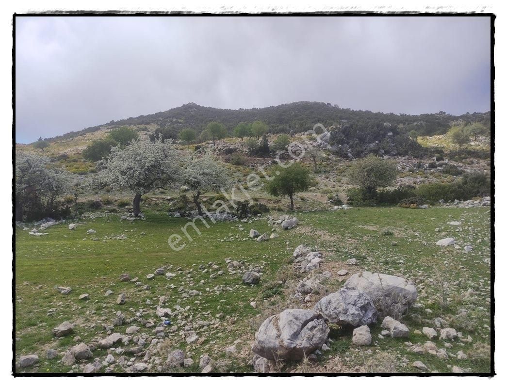 Fethiye Karaağaçta Satılık 979m2 Arsa - Görsel 5
