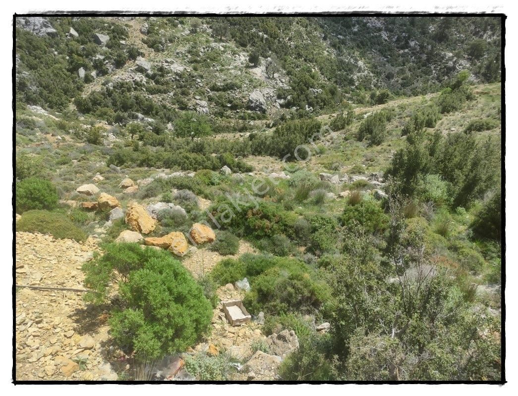 Fethiye Karaağaçta Satılık 979m2 Arsa - Görsel 11