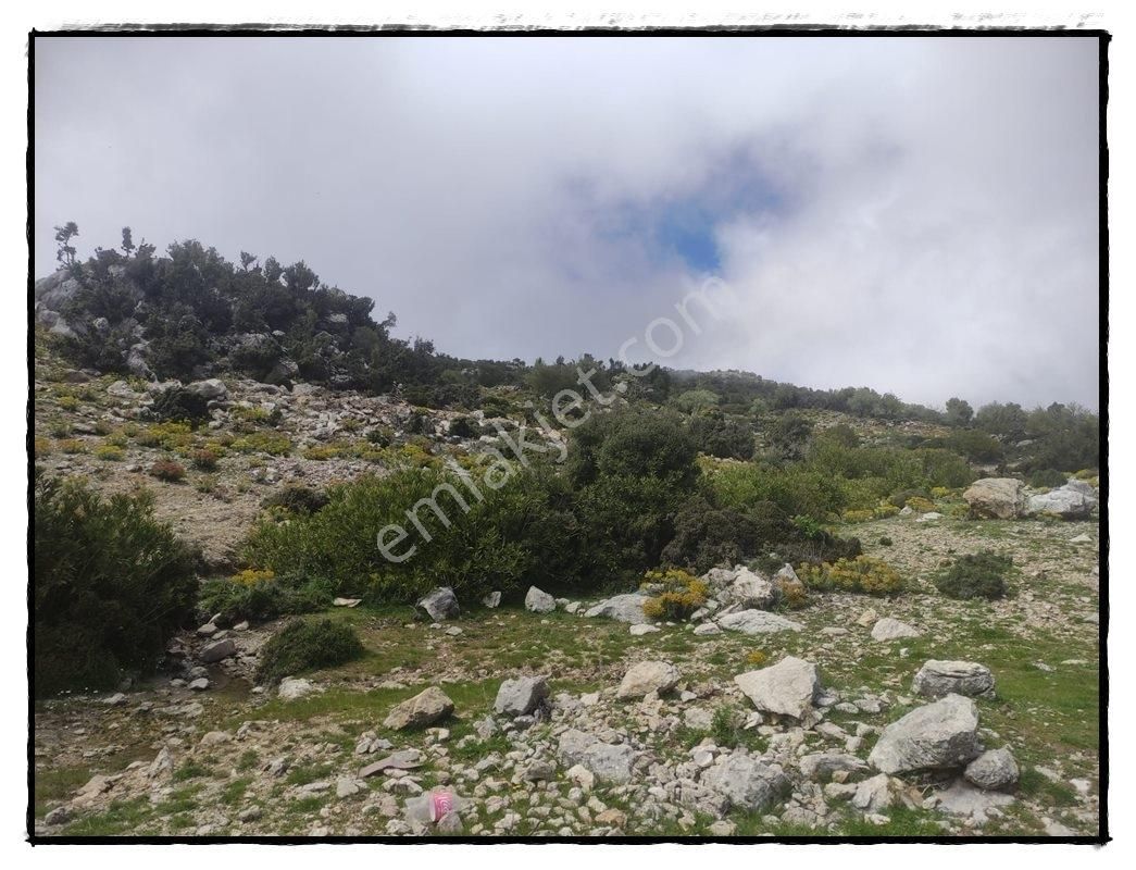 Fethiye Karaağaçta Satılık 979m2 Arsa - Görsel 3