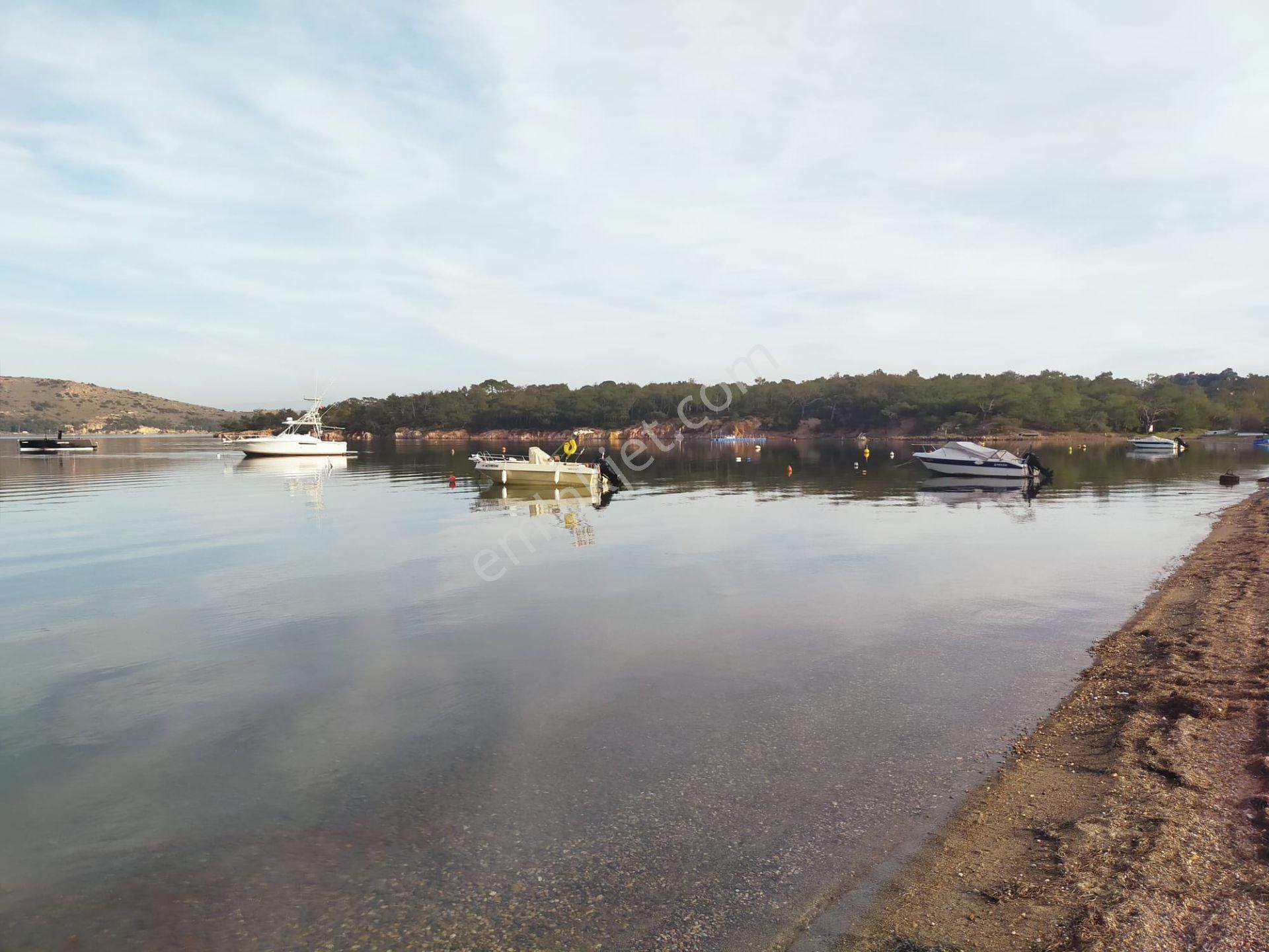 Ayvalık Sarımsaklı Da Satılık Villa.denize 80 Metre Mesafededir - Görsel 27