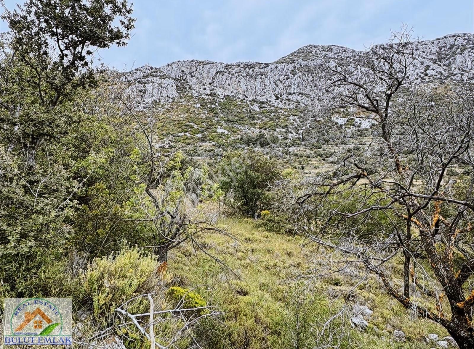 Bulut Emlak Söğüt Bahçelide Yatırımlık 169 M2 Satılık Tarla