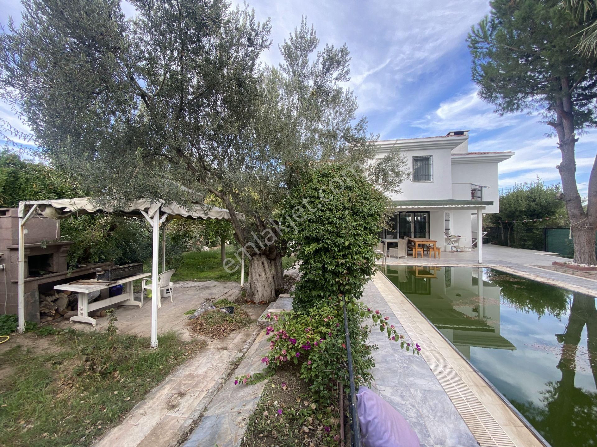 Balıkesir Ayvalık Sarımsaklı Da Satılık Villa Yuzme Havuzlu - Görsel 16