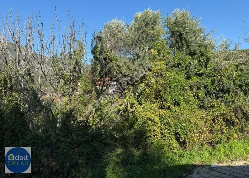 Muğla Gökova Merkezde 3 Cepheli Konut İmarlı Yatırımlık Arsa