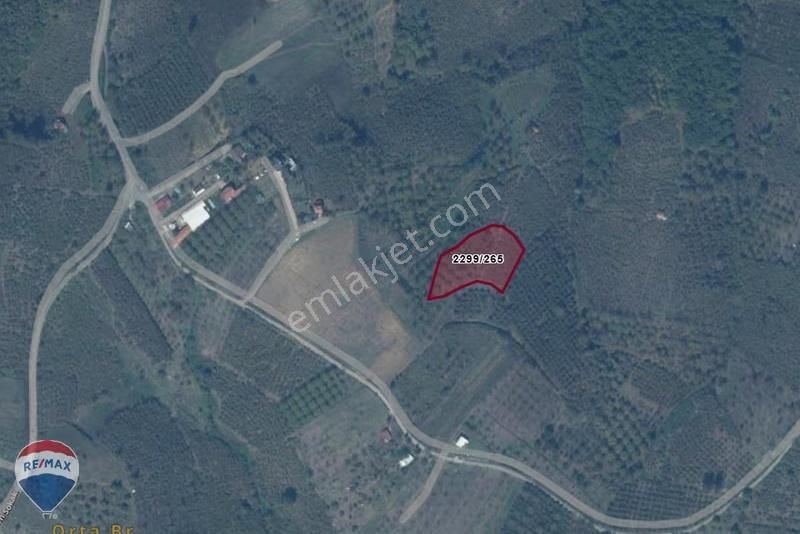 Remax Maviden Serdivan Çubukluda Muhteşem Manzaralı Arazi - Görsel 3