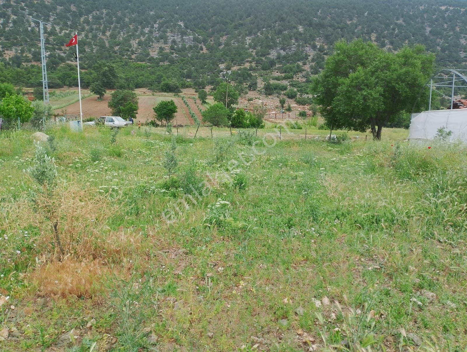 Wisrem Burdur'dan Satılık 570 M² Köyiçi Bahçe