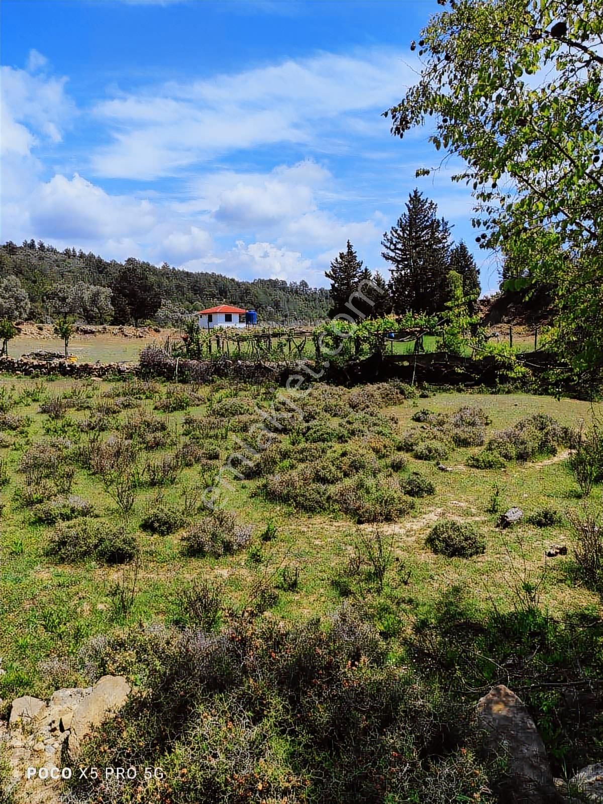 Alanya Saburlarda Yatırımlık Satılık 1320 M2 Müstakil Tarla - Görsel 4