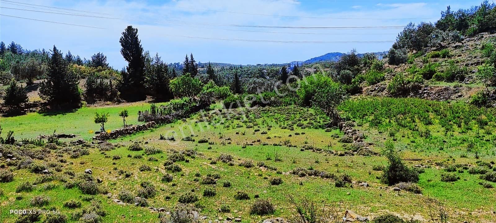 Alanya Saburlarda Yatırımlık Satılık 1320 M2 Müstakil Tarla - Görsel 8