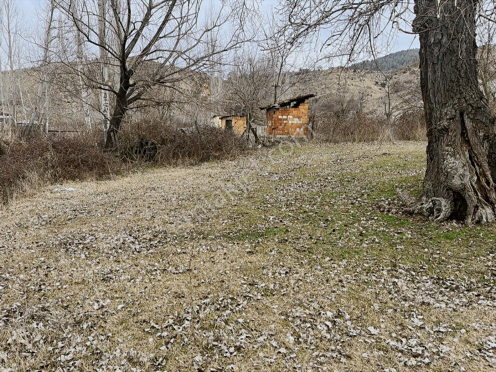 901 Mt. Köy İçinde Önünden Akan Dere .yol,su Elektrik Sorunu Yok - Görsel 9