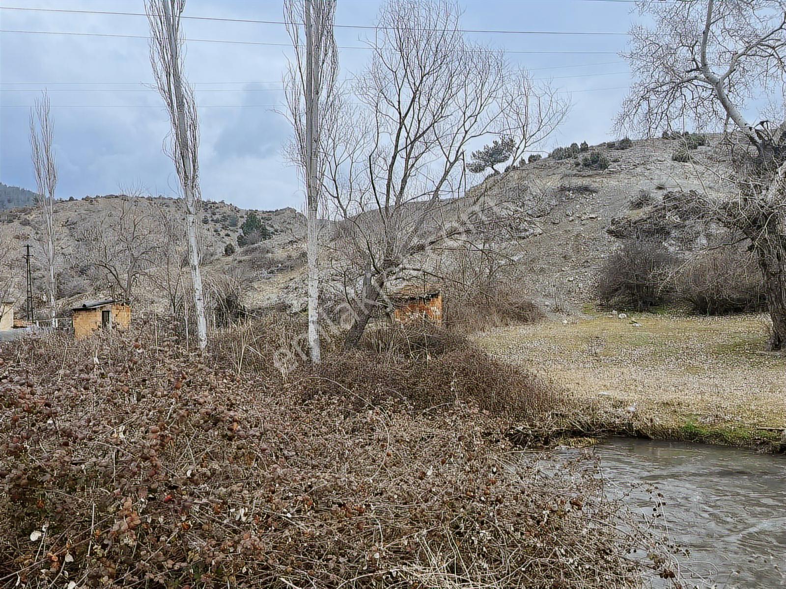 901 Mt. Köy İçinde Önünden Akan Dere .yol,su Elektrik Sorunu Yok - Görsel 7