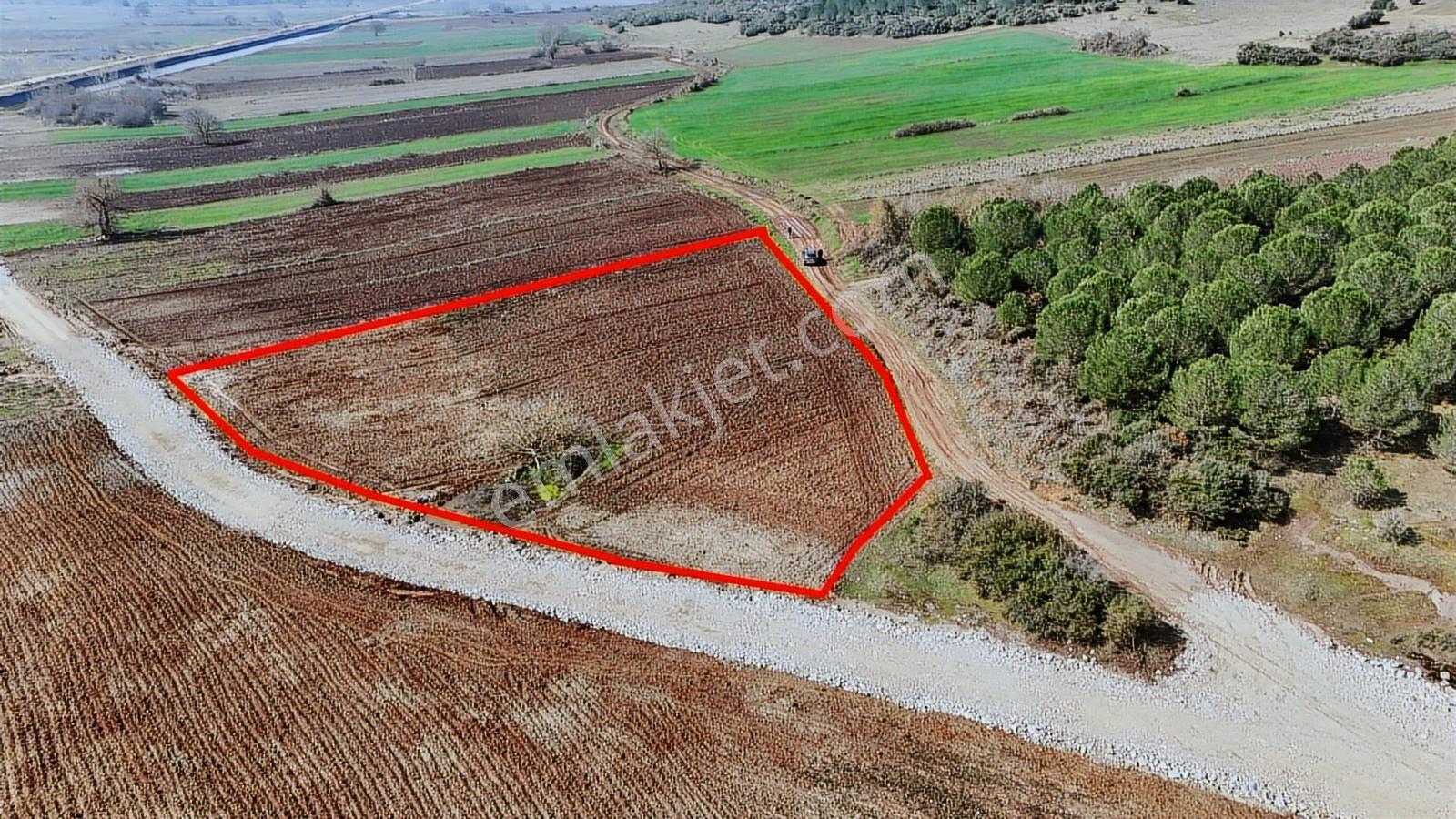 Bursa Mudanya Yörükyenicesi'nde Satılık Köye Yakın Köşe Parsel - Görsel 11