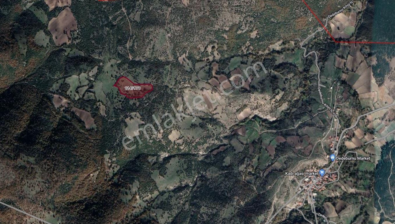 Balıkesır Altıeylül Dedeburnu Acıl - Görsel 3