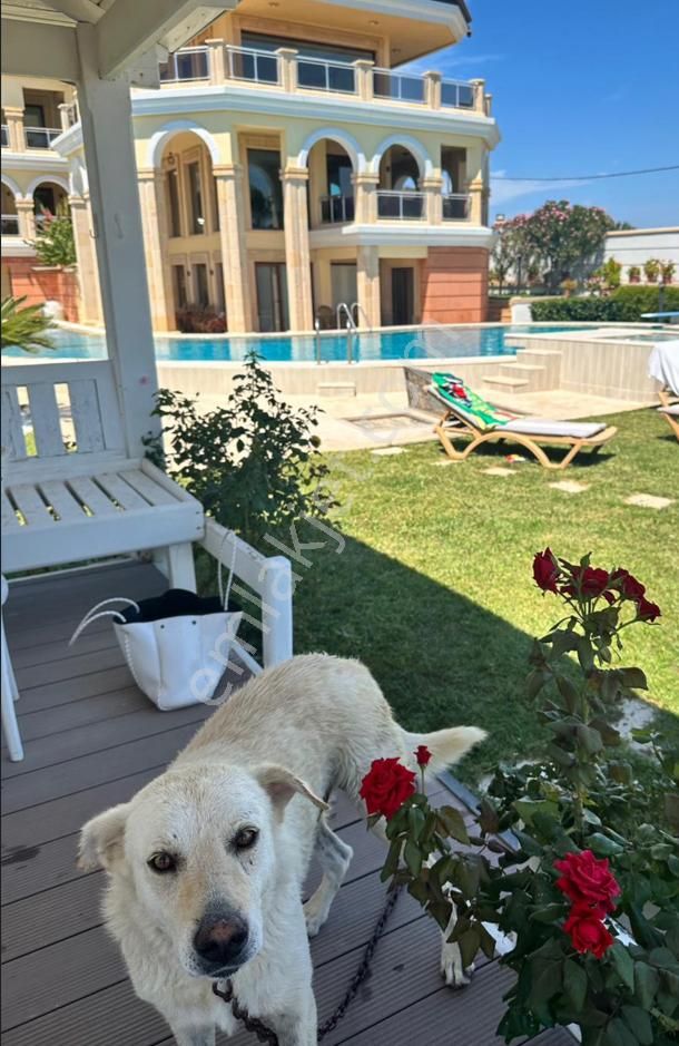 Balıkesir Ayvalık Cunda Adasında Satılık Muhtesem Malikane - Görsel 22