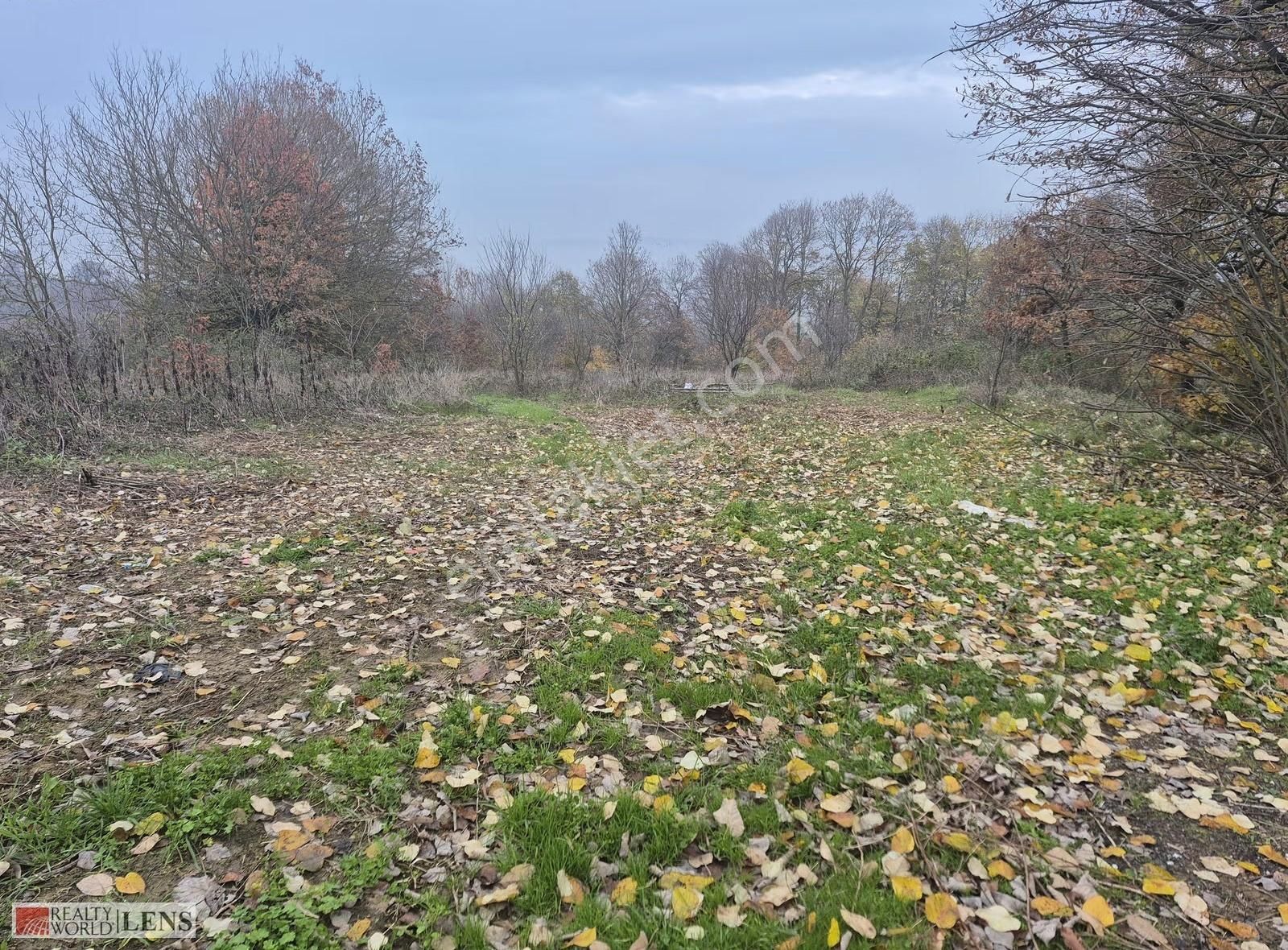 Serdivan Beşevler'de Yola Cepheli Hobi Bahçesi