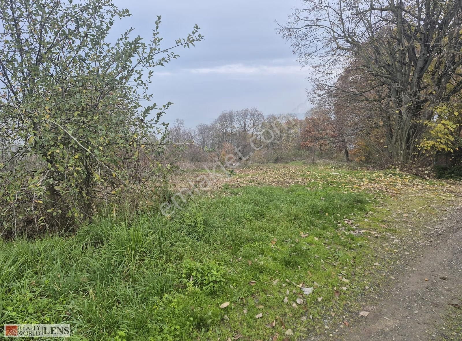 Serdivan Beşevler'de Yola Cepheli Hobi Bahçesi - Görsel 6