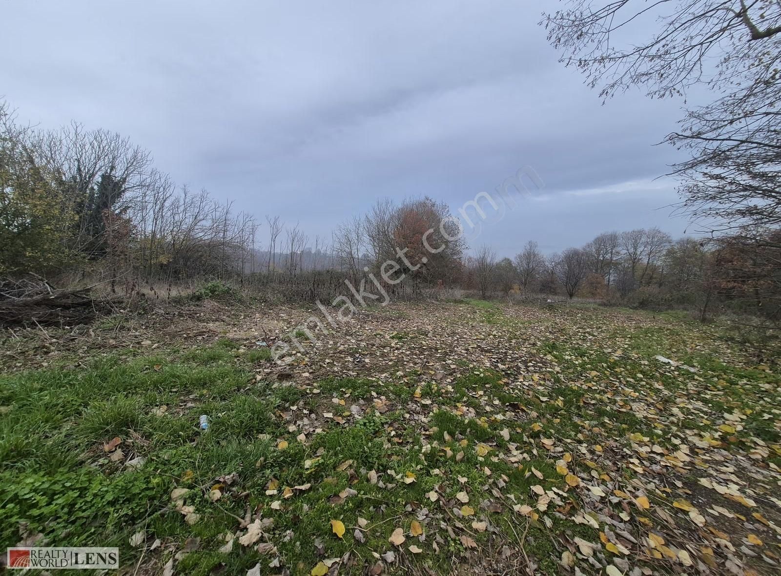 Serdivan Beşevler'de Yola Cepheli Hobi Bahçesi - Görsel 4