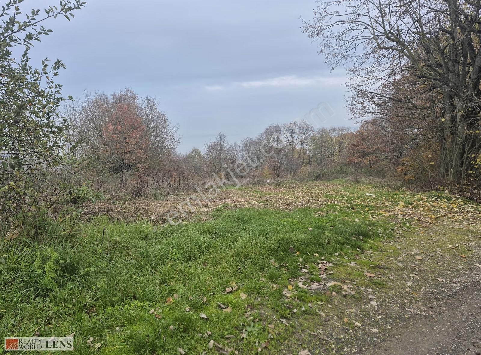 Serdivan Beşevler'de Yola Cepheli Hobi Bahçesi - Görsel 8