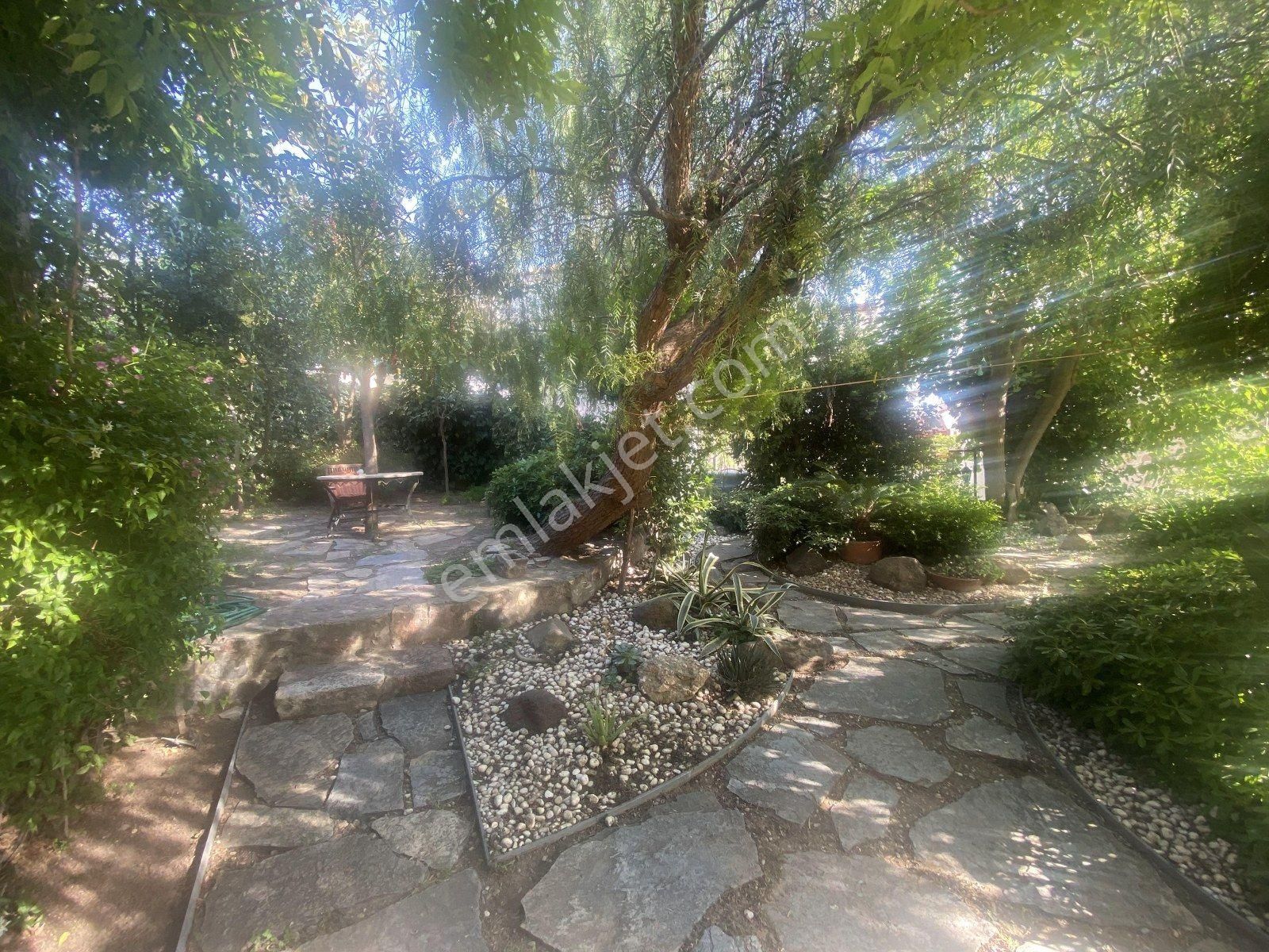 Ayvalık Cunda Da Satılık Mukemmel Taş Ev.geniş Bahceli - Görsel 26