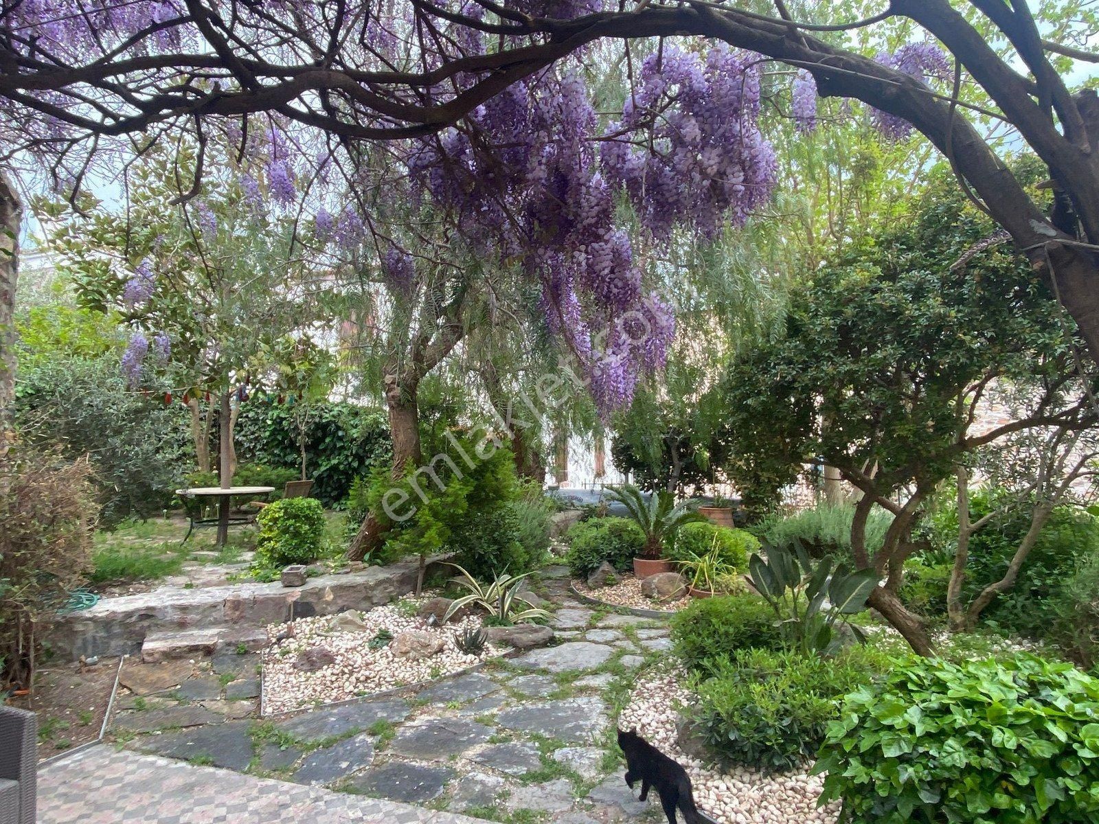 Ayvalık Cunda Da Satılık Mukemmel Taş Ev.geniş Bahceli - Görsel 29