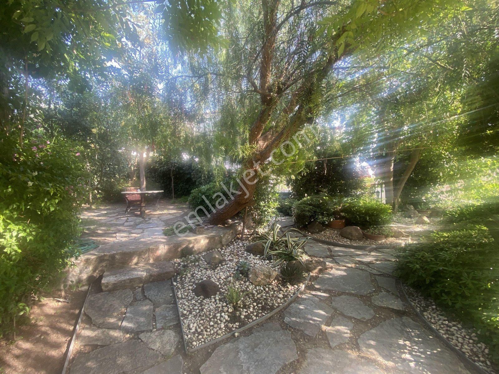 Ayvalık Cunda Da Satılık Mukemmel Taş Ev.geniş Bahceli - Görsel 30