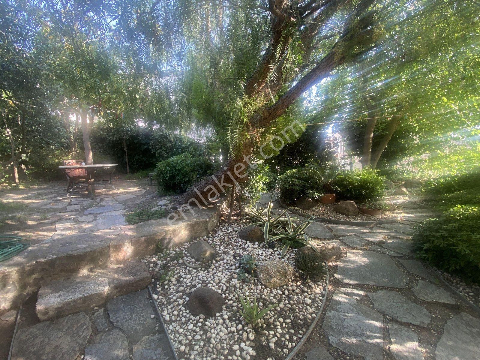 Ayvalık Cunda Da Satılık Mukemmel Taş Ev.geniş Bahceli - Görsel 27