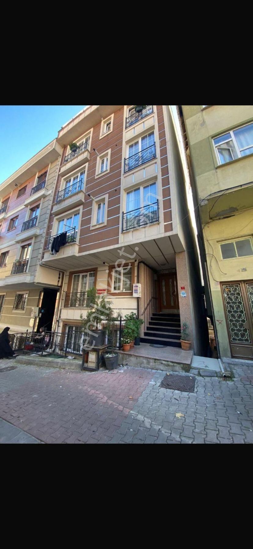 Acill Kadın Ev Arkadaşı