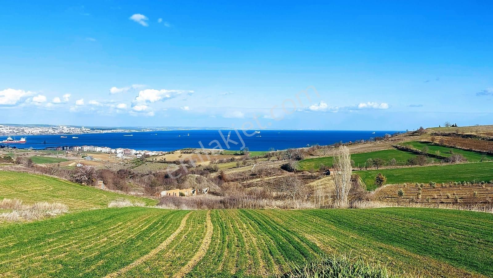 Tekirdağ Barbarosta Full Deniz Doğa Ve Şehir Manzara 8 Adet Villa Projesine Uygun Fırsat Arazi - Görsel 5