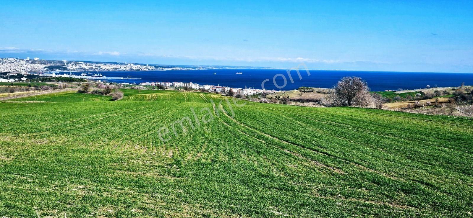 Tekirdağ Barbarosta Full Deniz Manzaralı 75 Adet Villa Projesine Uygun Fırsat Arazi - Görsel 18