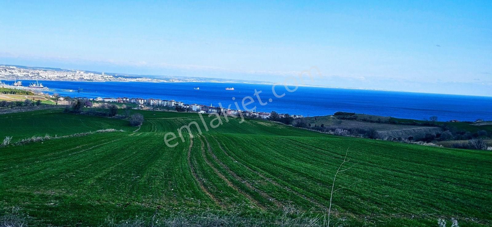 Tekirdağ Barbarosta Full Deniz Manzaralı 75 Adet Villa Projesine Uygun Fırsat Arazi - Görsel 19
