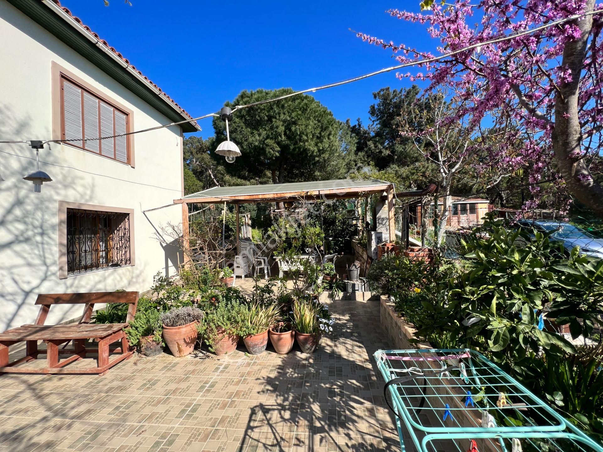 Balıkesir Ayvalık Camlık Ta Satılık Mustakil Ev.denize 90 Metre - Görsel 7