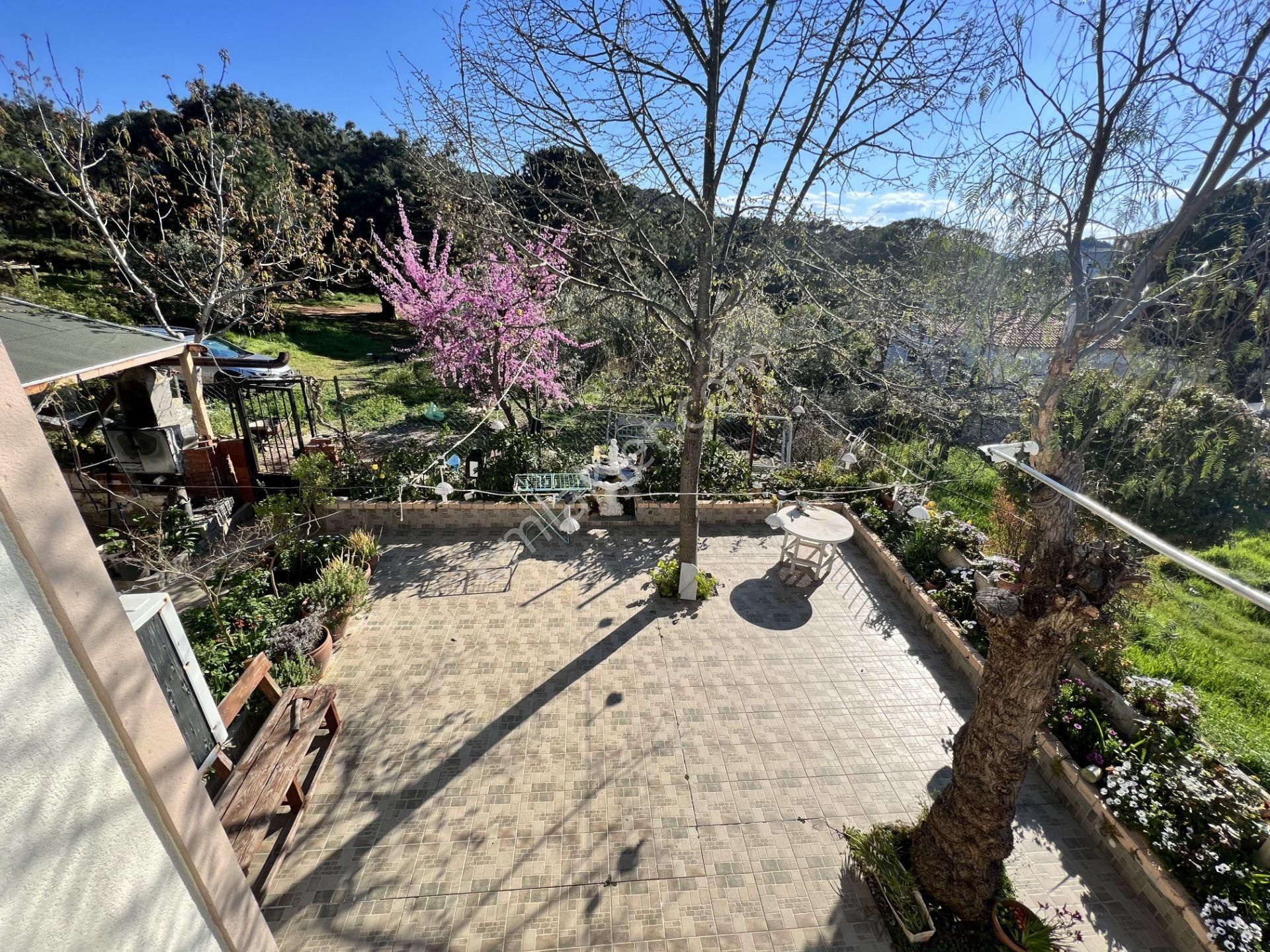 Balıkesir Ayvalık Camlık Ta Satılık Mustakil Ev.denize 90 Metre - Görsel 25