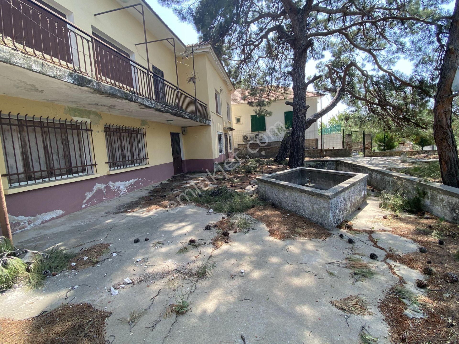 Balıkesir Ayvalık Camlık Ta Satılık Muhtesem Mustakil Ev. - Görsel 4