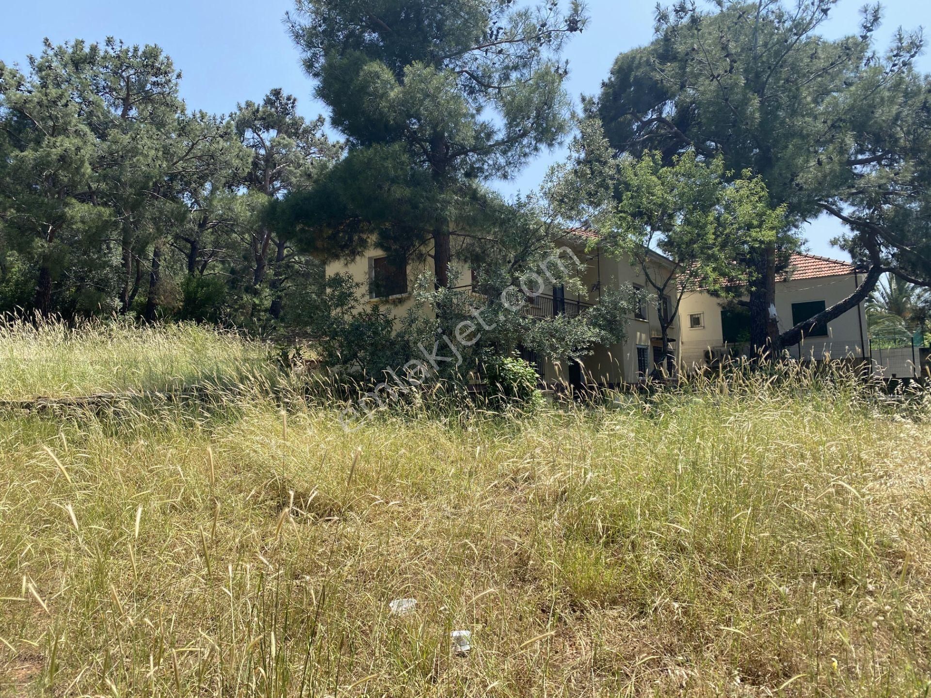 Balıkesir Ayvalık Camlık Ta Satılık Muhtesem Mustakil Ev. - Görsel 24