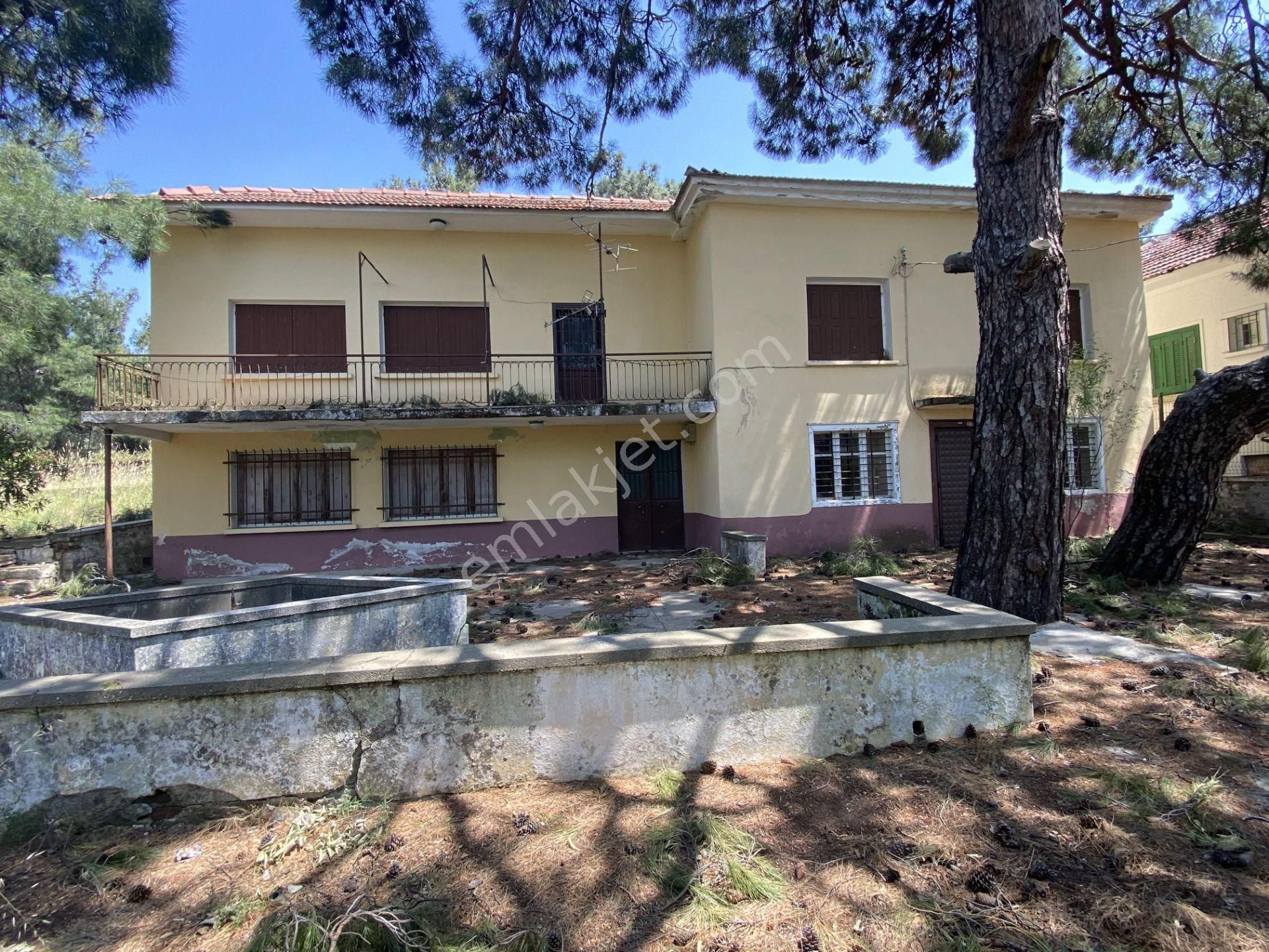 Balıkesir Ayvalık Camlık Ta Satılık Muhtesem Mustakil Ev. - Görsel 3