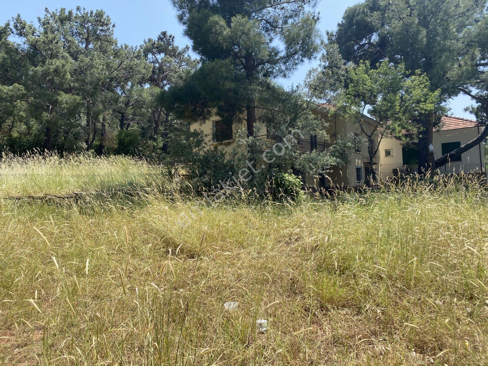 Balıkesir Ayvalık Camlık Ta Satılık Muhtesem Mustakil Ev. - Görsel 28