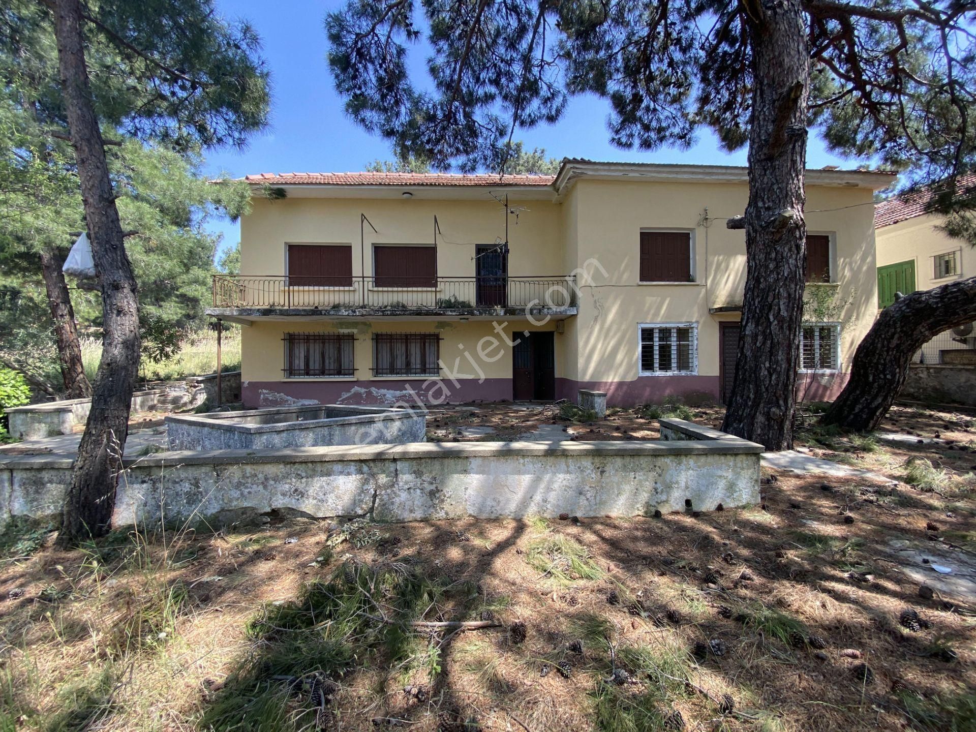 Balıkesir Ayvalık Camlık Ta Satılık Muhtesem Mustakil Ev. - Görsel 22