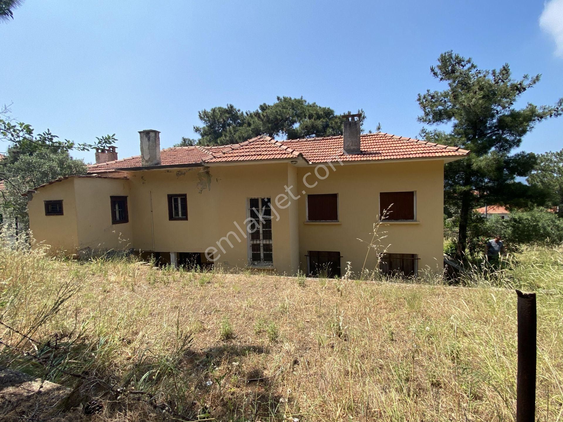 Balıkesir Ayvalık Camlık Ta Satılık Muhtesem Mustakil Ev. - Görsel 7