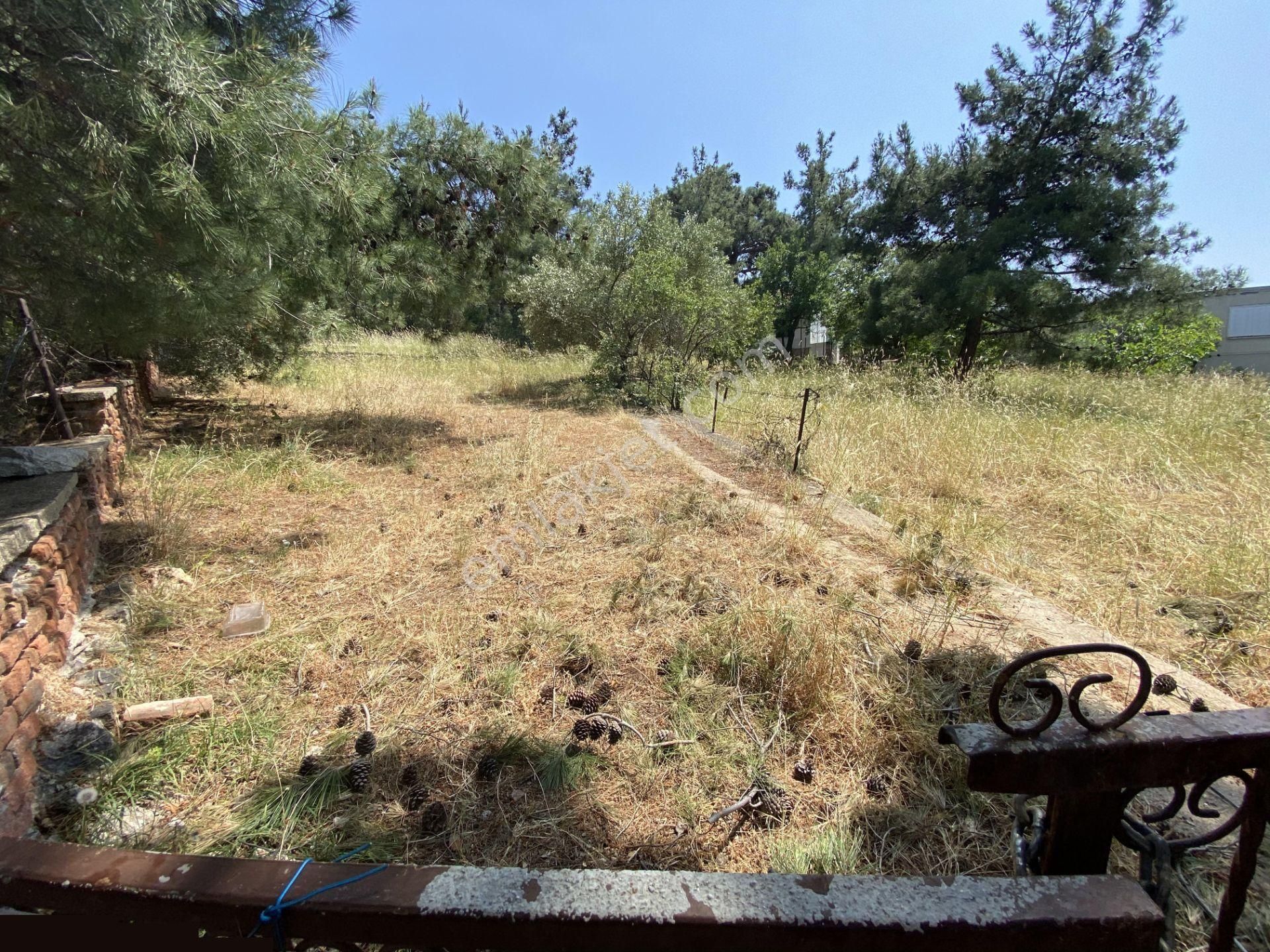 Balıkesir Ayvalık Camlık Ta Satılık Muhtesem Mustakil Ev. - Görsel 25