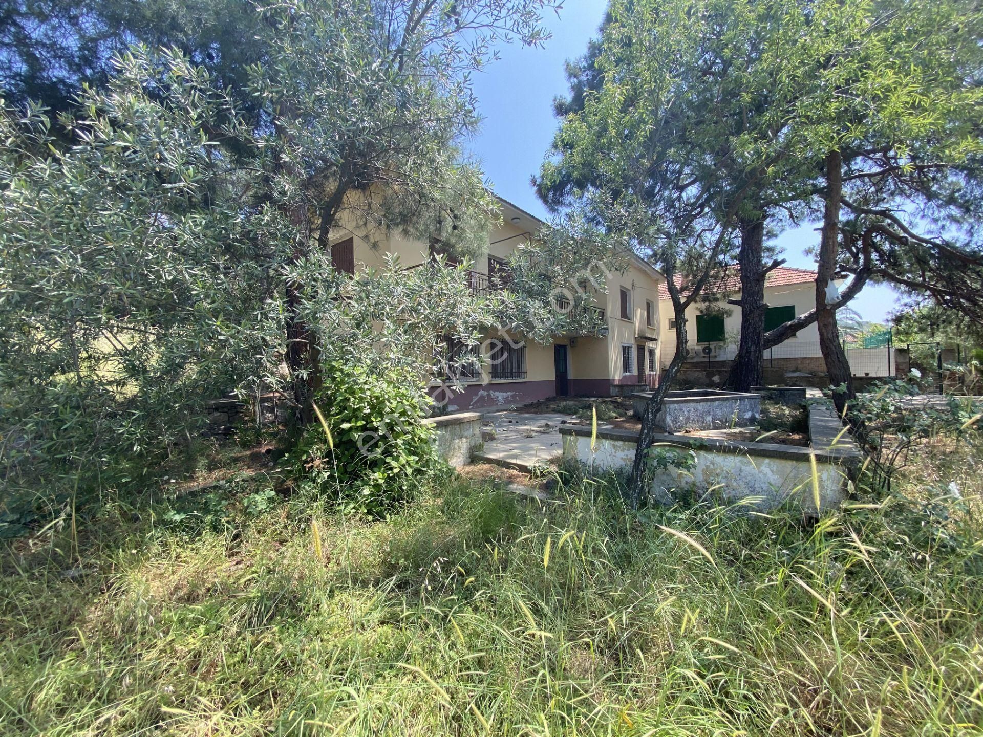 Balıkesir Ayvalık Camlık Ta Satılık Muhtesem Mustakil Ev. - Görsel 23