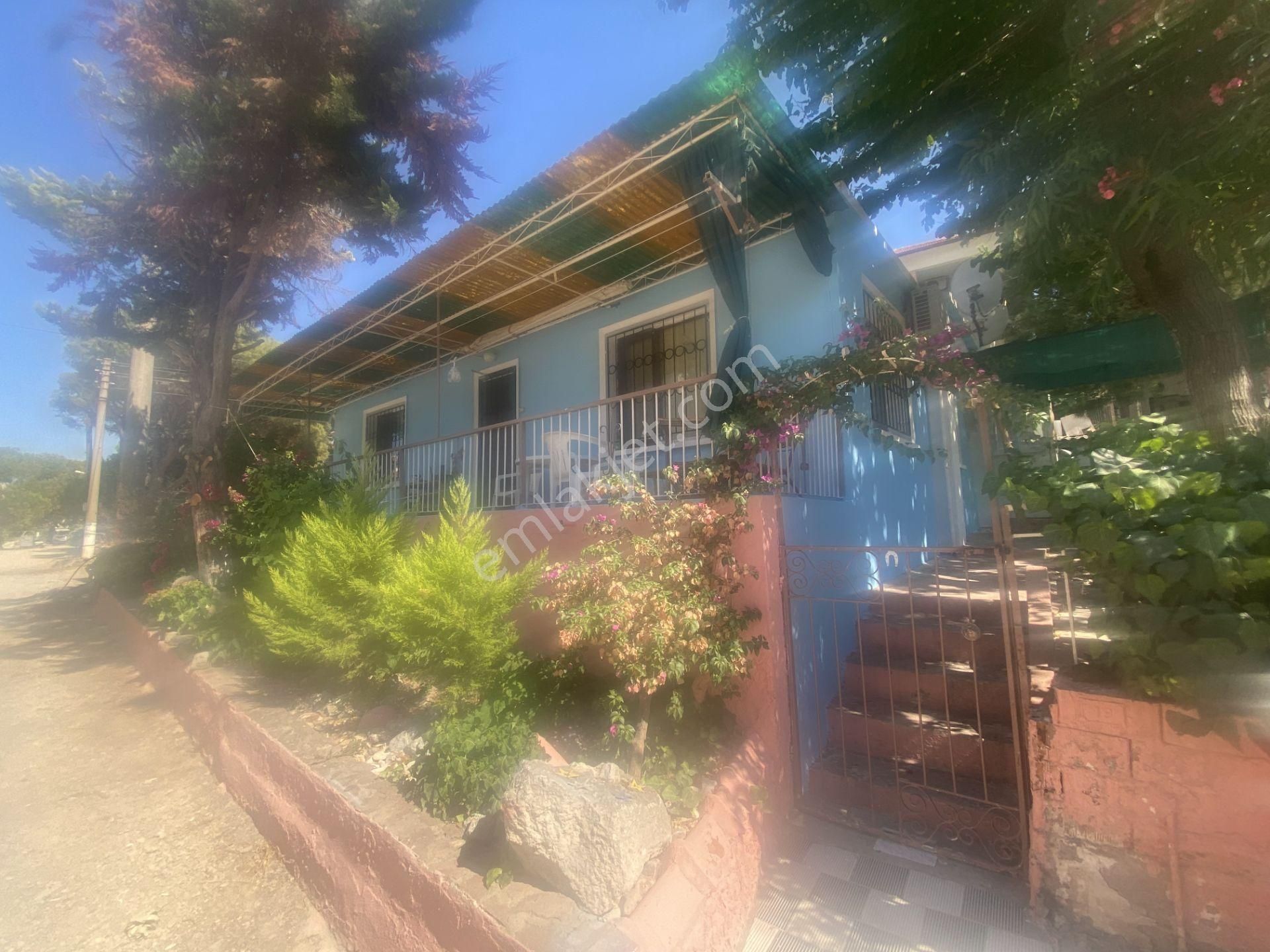 Ayvalık Camlık Sefa Da Satılık Tek Katlı Mustakil Ev. - Görsel 2