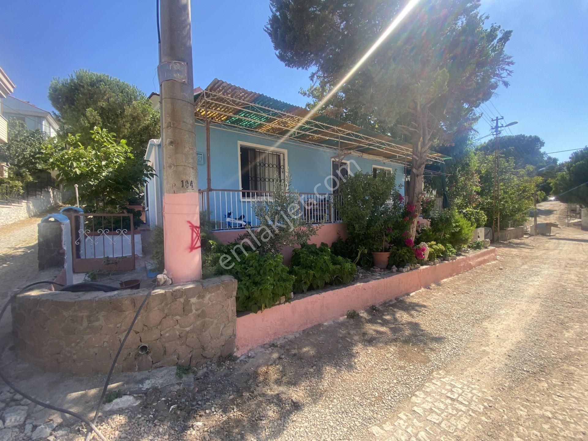 Ayvalık Camlık Sefa Da Satılık Tek Katlı Mustakil Ev.