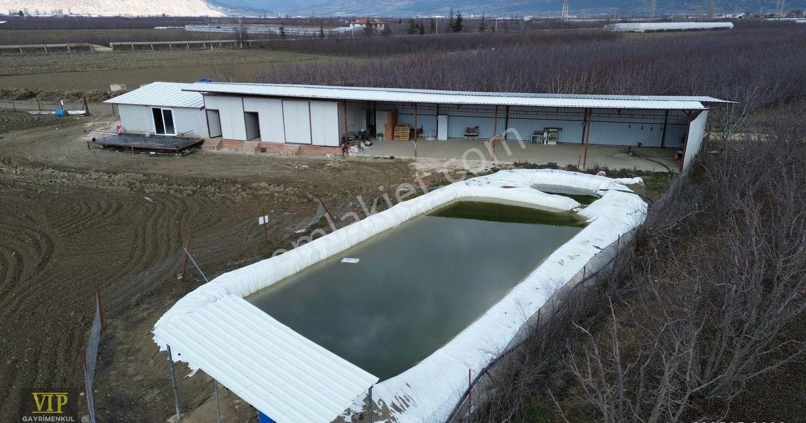Vıp Gayrimenkul' Den Pirhasanlar Mah. 12.600 M² Sera +ev+ Ardiye - Görsel 10