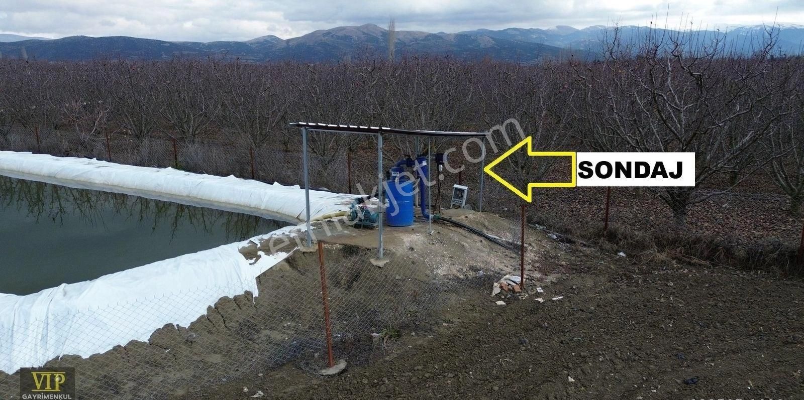 Vıp Gayrimenkul' Den Pirhasanlar Mah. 12.600 M² Sera +ev+ Ardiye - Görsel 11