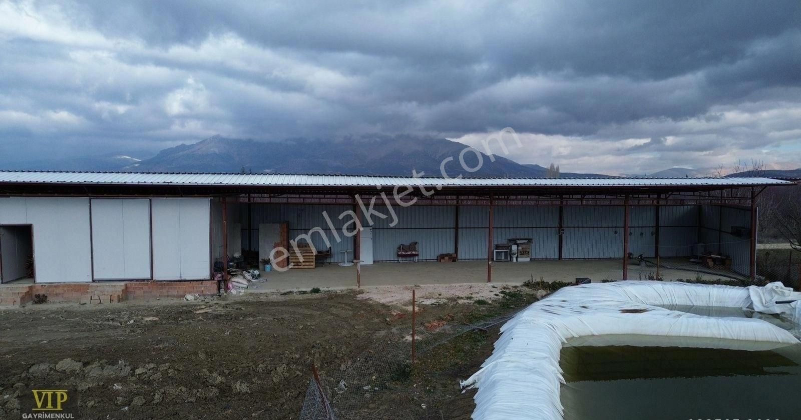 Vıp Gayrimenkul' Den Pirhasanlar Mah. 12.600 M² Sera +ev+ Ardiye - Görsel 4